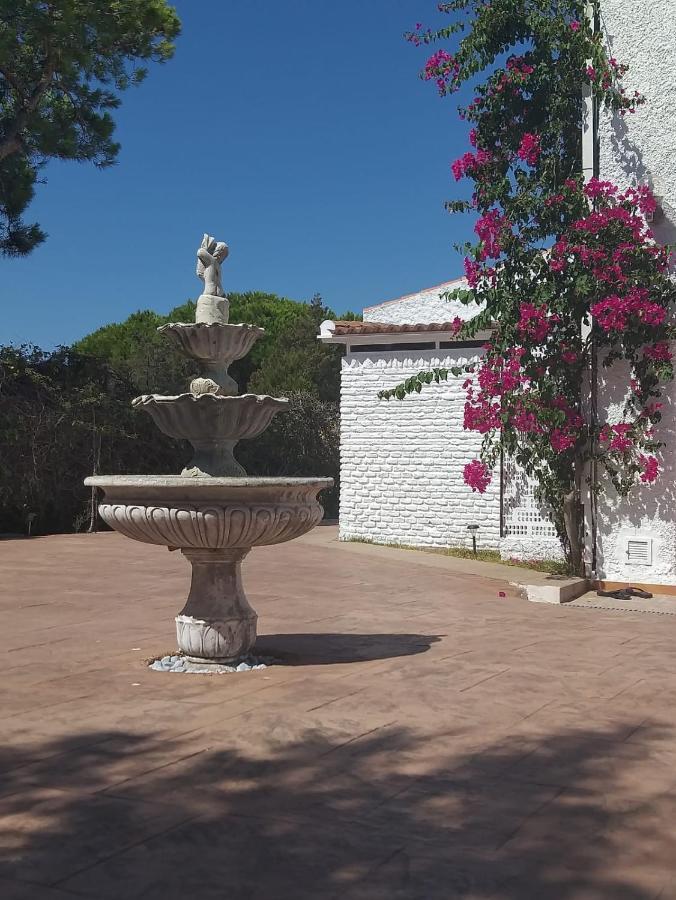 Entre Pinos Y Playa Apartment Matalascañas Екстериор снимка